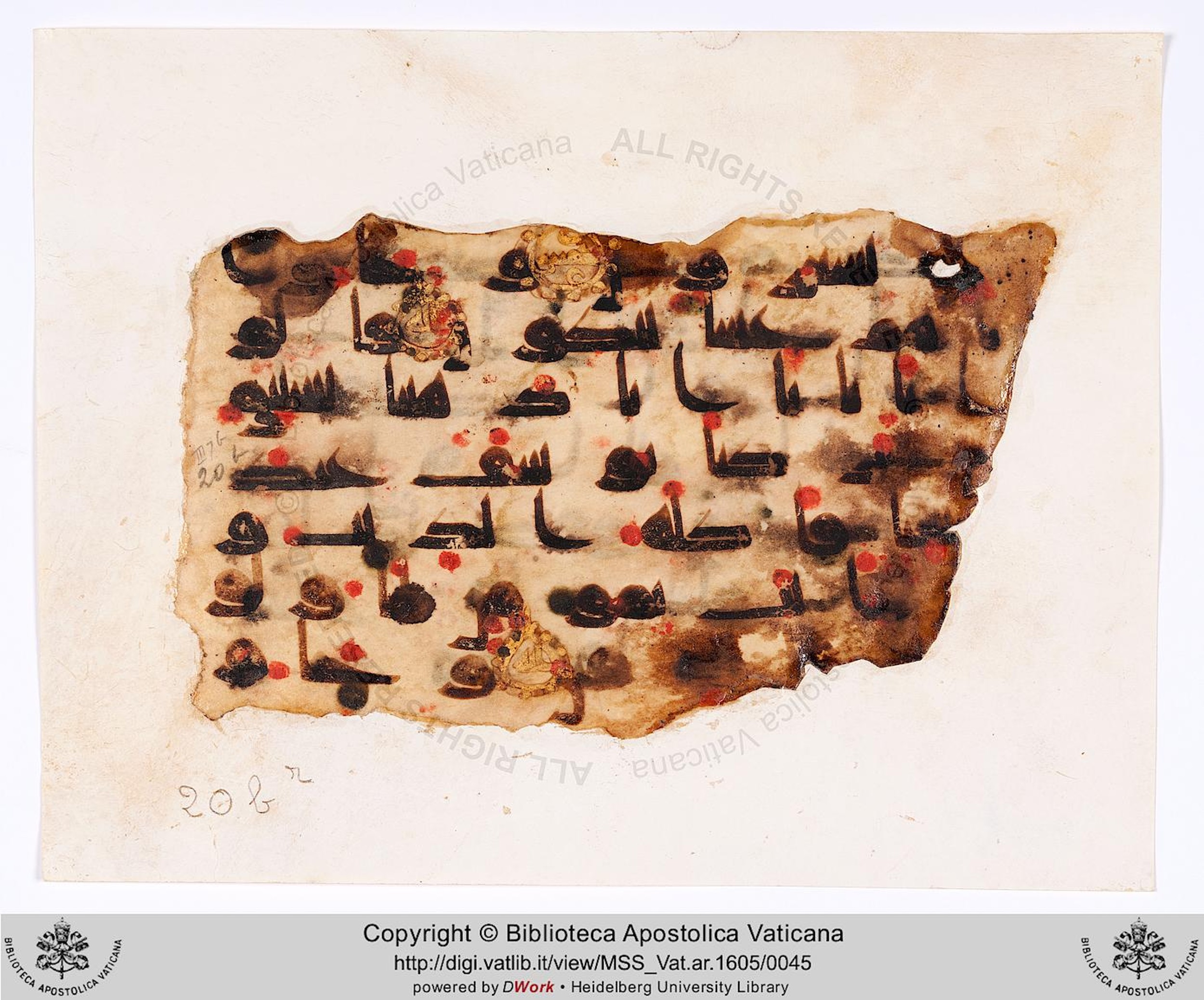 Vat. Ar. 1605 (20), in kūfī D.II script, showing Surah 12:16 from 8th to 9th Century AD found in Fustat (Old Cairo), Egypt, currently housed at Biblioteca Apostolica Vaticana, Rome